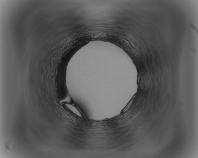 X0000091461345200709131726