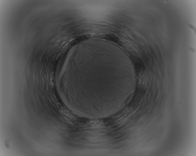 X0000091461346200709131726