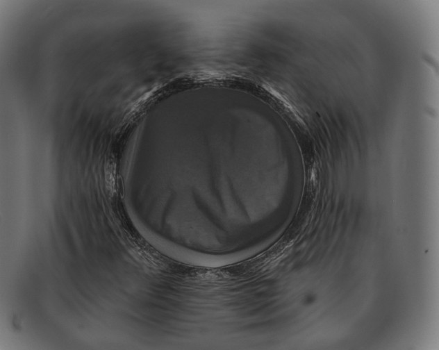 X0000091461348200709131726