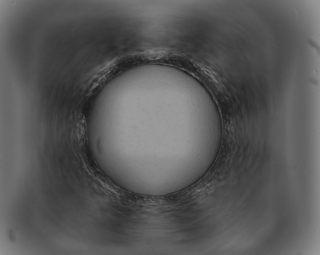 X0000091461349200709131726