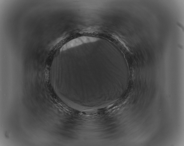 X0000091461350200709131726