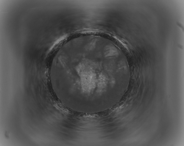 X0000091461351200709131726