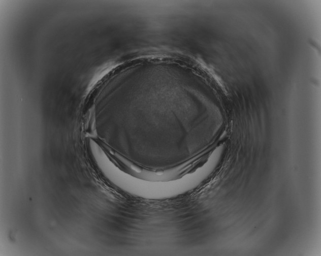 X0000091461352200709131726