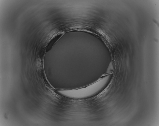 X0000091461353200709131726