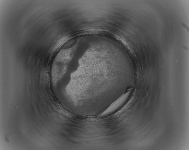 X0000091461354200709131726