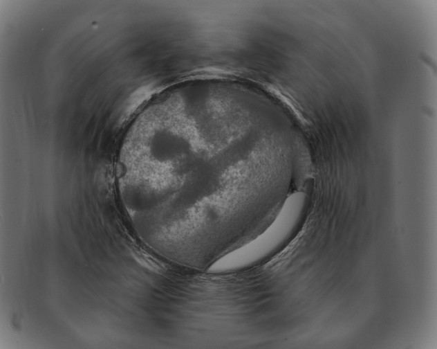 X0000091461355200709131726