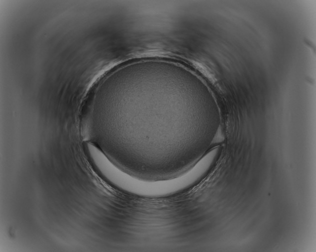 X0000091461356200709131726