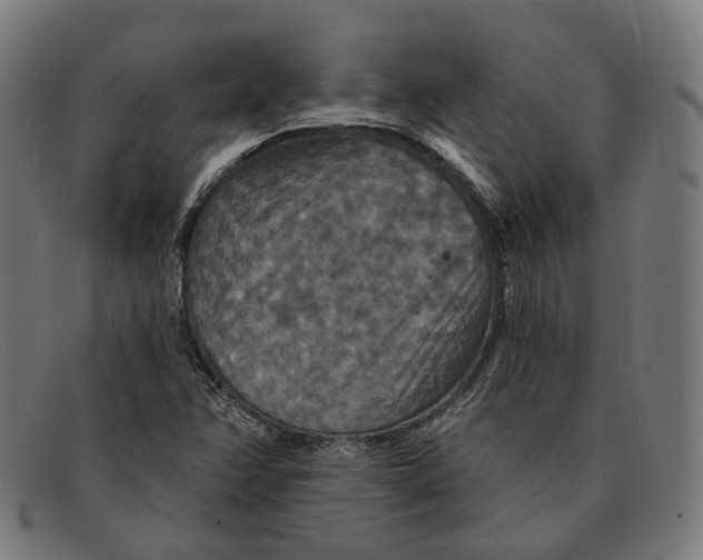 X0000091461358200709131726