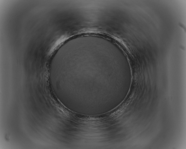 X0000091461359200709131726