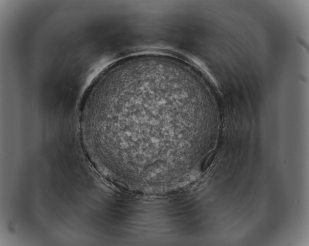 X0000091461360200709131726
