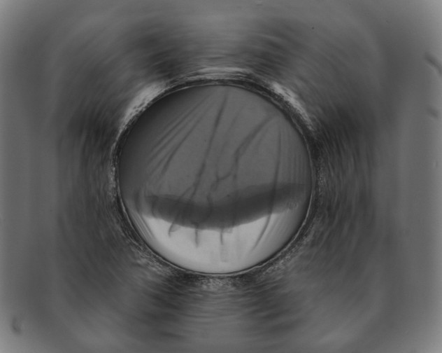 X0000091461362200709131726