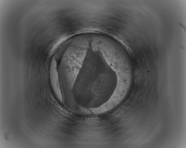 X0000091461363200709131726