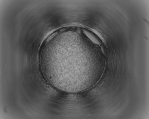 X0000091461364200709131726