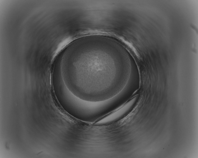 X0000091461365200709131726