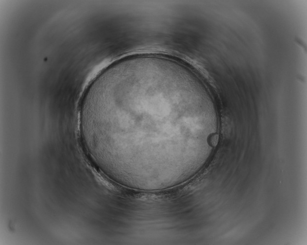 X0000091461366200709131726
