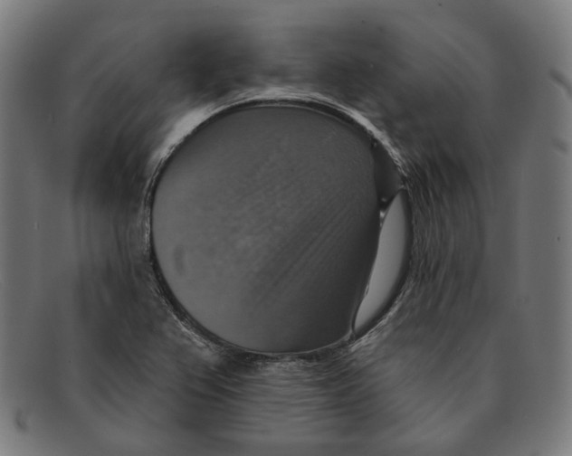 X0000091461367200709131726