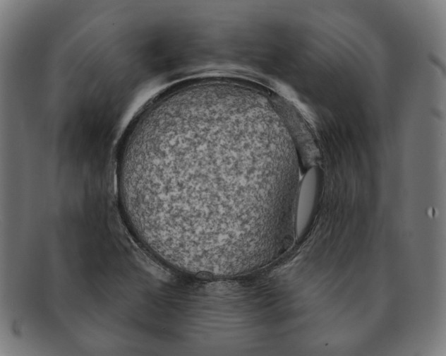 X0000091461368200709131726