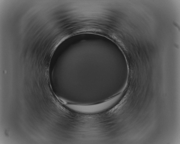 X0000091461369200709131726