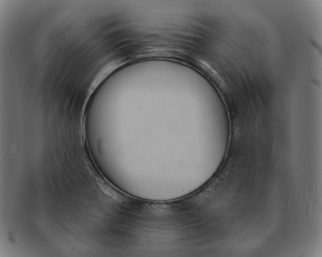 X0000091461370200709131726