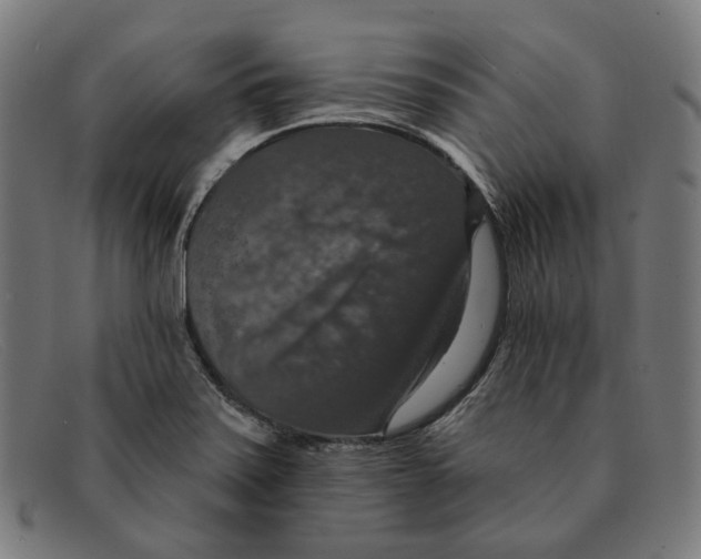X0000091461371200709131726