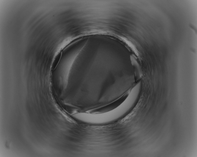 X0000091461373200709131726