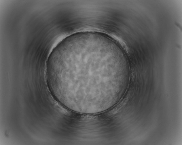 X0000091461374200709131726
