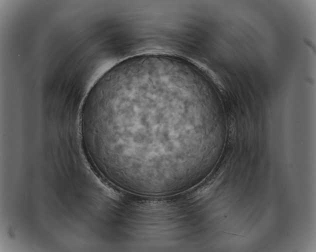 X0000091461375200709131726