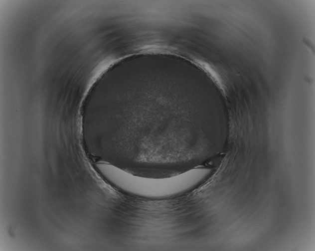X0000091461376200709131725