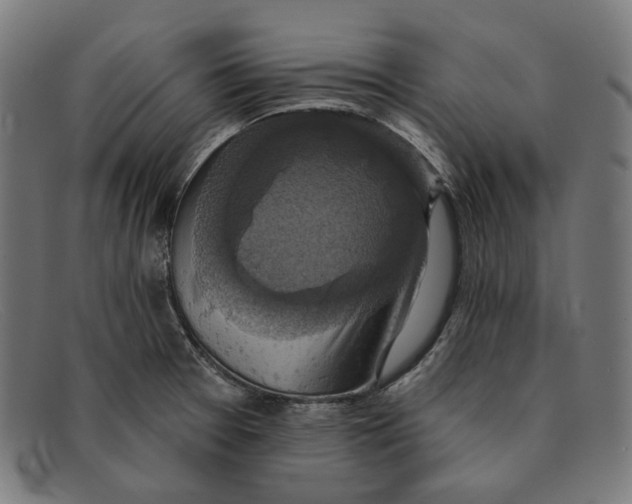 X0000091461377200709131725