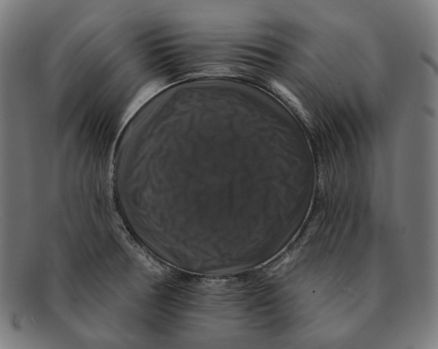 X0000091461378200709131725