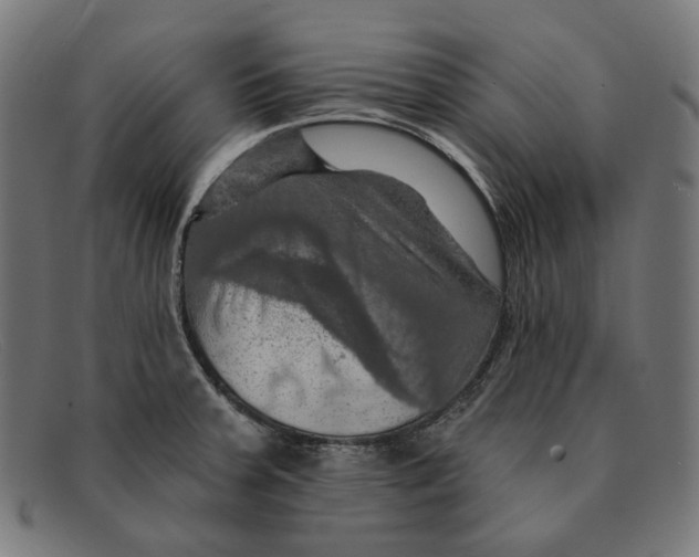 X0000091461379200709131725