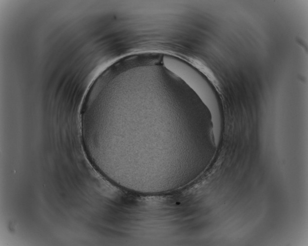 X0000091461380200709131725
