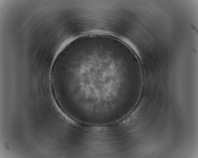 X0000091461381200709131725