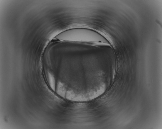 X0000091461382200709131725