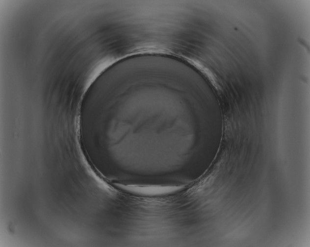 X0000091461383200709131725