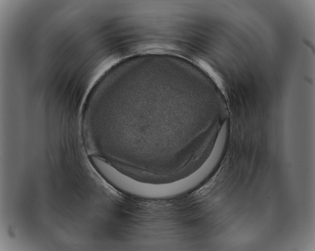 X0000091461384200709131725