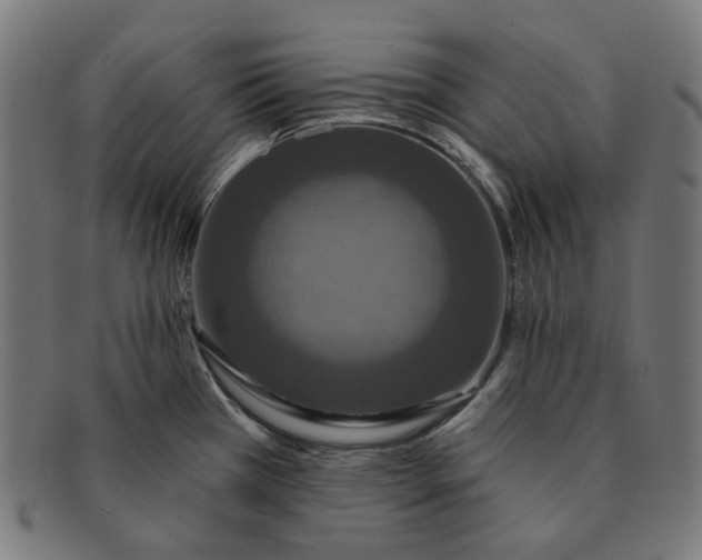 X0000091461385200709131725