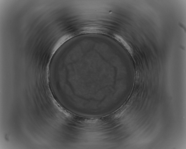 X0000091461386200709131725