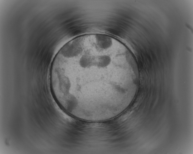 X0000091461387200709131725