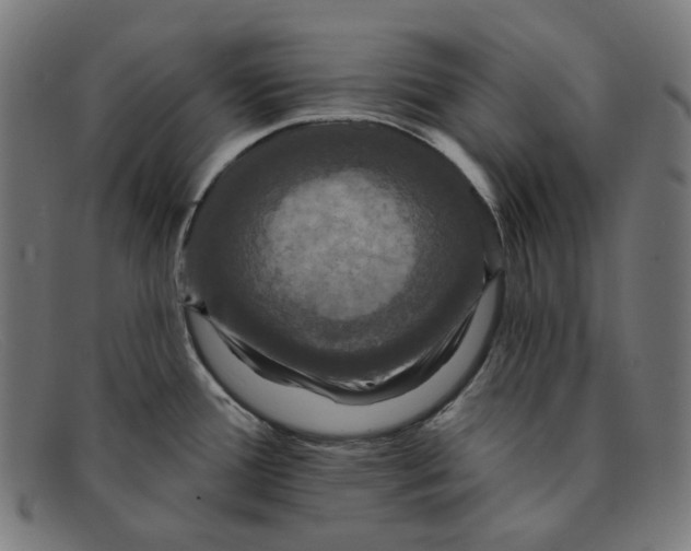 X0000091461388200709131725