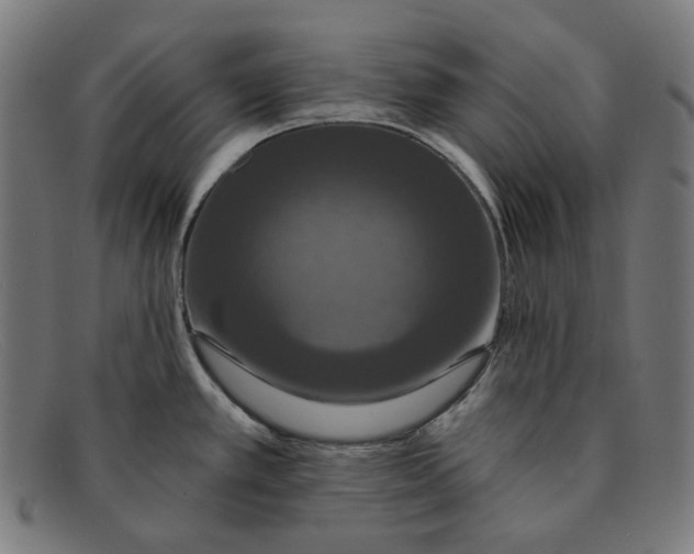 X0000091461389200709131725