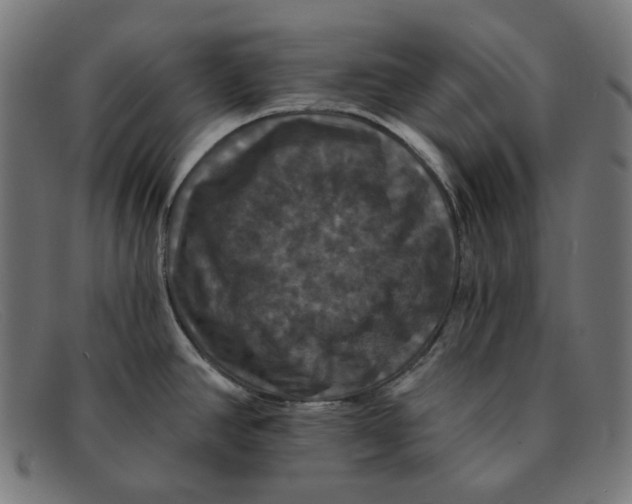 X0000091461390200709131725