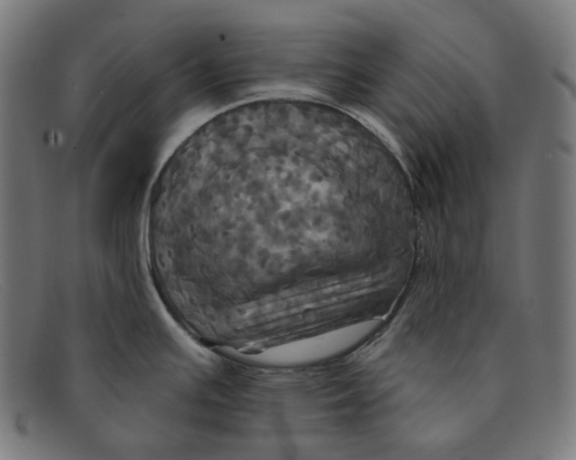 X0000091461391200709131725