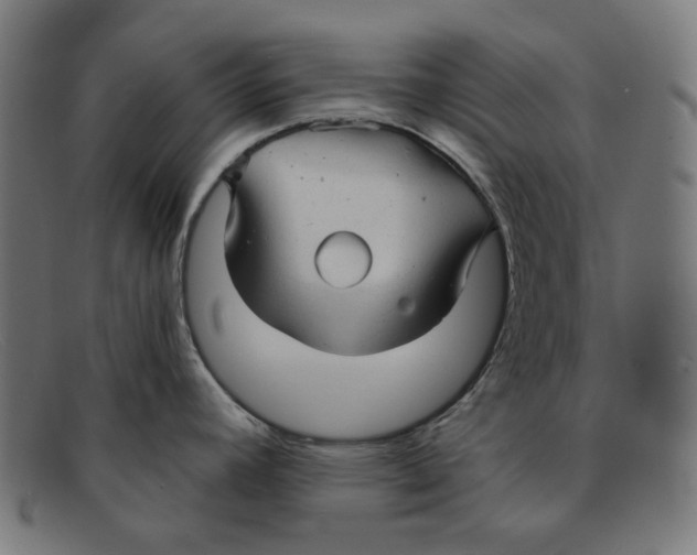 X0000091461392200709131725