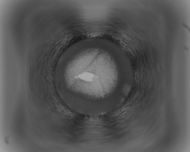 X0000091461393200709131725