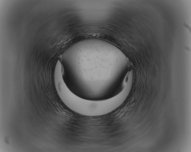 X0000091461394200709131725
