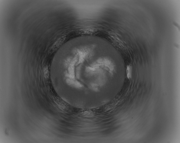 X0000091461395200709131725