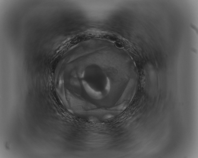 X0000091461397200709131725