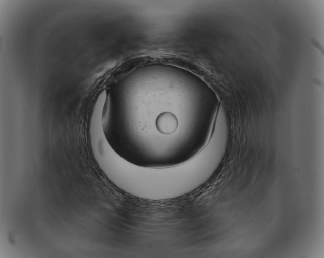 X0000091461398200709131725