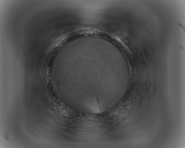 X0000091461399200709131725